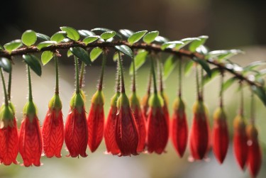 中山小榄私人快速借钱网，轻松解决资金难题