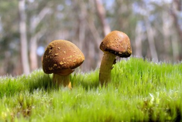 中山小榄私人老板放款：轻松融资的秘密通道